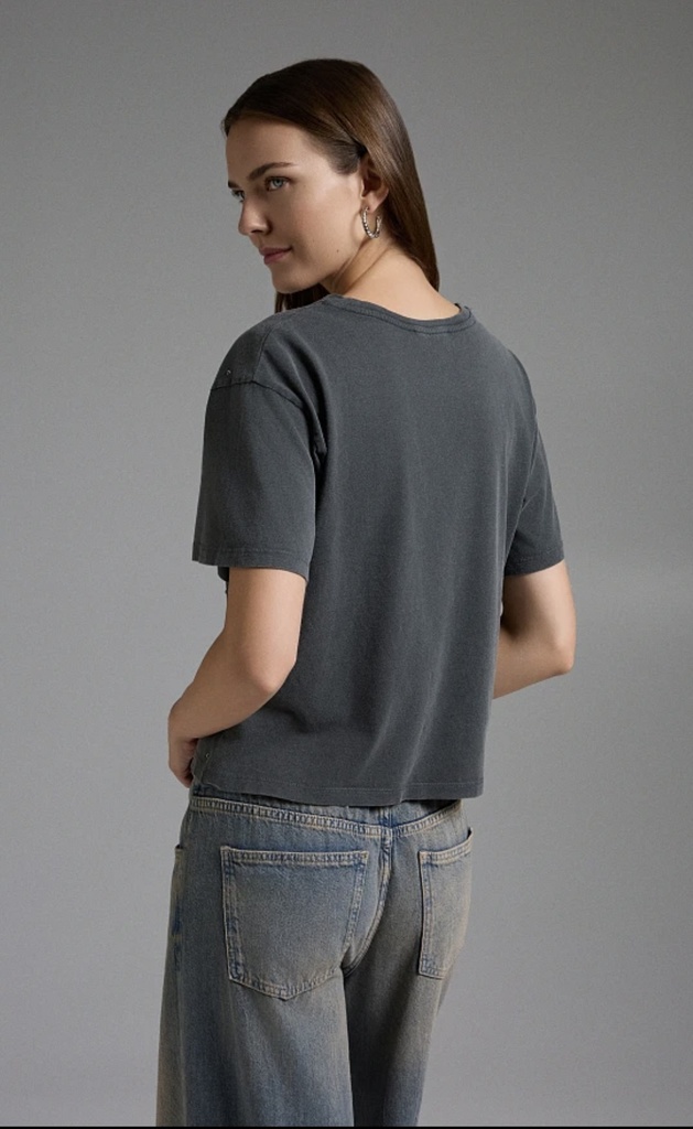 T-Shirt Gris Stass BSB