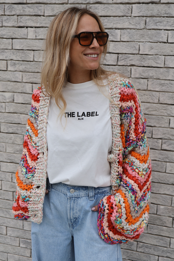 Gilet maille Multicolore